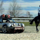 Obuditev spomina na safari porscheje - RUF rodeo concept