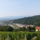 Vsi okusi regije, ki jo Slovenci bolj slabo poznajo