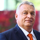Prvi čivki starokopitnega Orbána