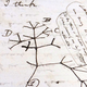 Darilna vrečka s pogrešanimi Darwinovimi rokopisi