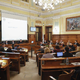 Nadomestna svetnica namesto nove ministrice