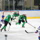 Bratislava izstopila, v ICEHL le 13 klubov