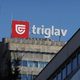 Delničarjem Triglava 2,5 evra dividende