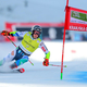 Kljub pomladanskim temperaturam zelena luč za pokal Vitranc