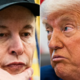 Pok med Trumpom in Muskom s smodnikom iz Epsteinovih dokumentov