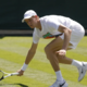 Rdeča lisica v Wimbledonu s šok terapijo v lov za četrti veliki slam