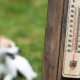 Rekordno vroč dan, temperature tudi do 36 stopinj