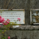 Srh zbujajoče grobišče novorojenčkov in otrok