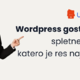 WordPress gostovanje spletne strani – katero je najboljše?