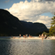 Psička na območju Bohinja poginila zaradi zastrupitve