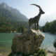 Sloveniji gre zares dobro
