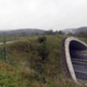 Nov odnos med državo in državljani in novo razumevanje osebne odgovornosti