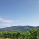 Sonce na dlani