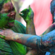 Holi, eksplozija barv in veselja (FOTO)