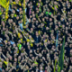 Bundesliga (še) ne želi po angleški poti