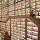 Ko umetna inteligenca postane znanstvenik