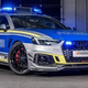 Policisti kupujejo tudi zverine za divji avtocestni lov