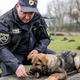 Naša policija ima psa, ki lahko odkrijeta vzrok požara