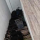 Se spomnite vandalov pri znani Slovenki? Tako se je razpletlo