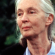 Opa, naš resničnostni zvezdnik spoznal slavno Jane Goodall