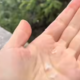 Video: Na Pohorju sneži!