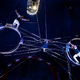 Foto in video: V Ljubljano je prišel cirkus, cirkusanti v kulturnem šoku