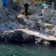 Drama na Korčuli: V turiste na jadrnici metal kamenje in kričal, da jih bo ubil