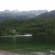 Zdaj je jasno, zakaj naj bi po kopanju v Bohinjskem jezeru psi poginili