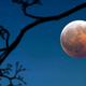 Te polne lune se pa lahko veselimo!