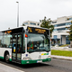 Drama na LPP: Avtobus trčil v drevo