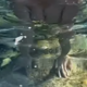 Naša znana novinarka o tem videu povedala: Ja, zgoraj brez sem!