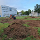 V prestolnici nastaja fenološki park – kaj je to?