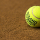 Roland Garros ne popušča pritisku, edini bo kljuboval napredku